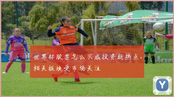世界杯股票怎么买成投资新热点，相关板块受市场关注