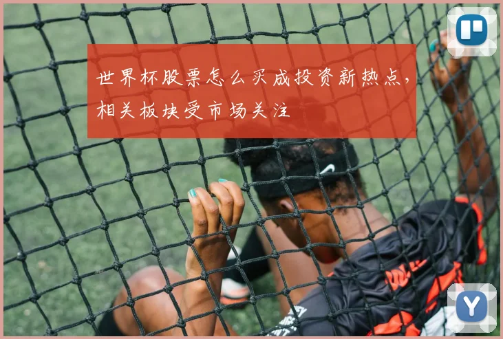 世界杯股票怎么买成投资新热点，相关板块受市场关注