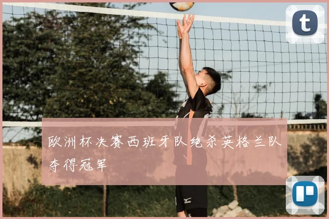 欧洲杯决赛西班牙队绝杀英格兰队夺得冠军