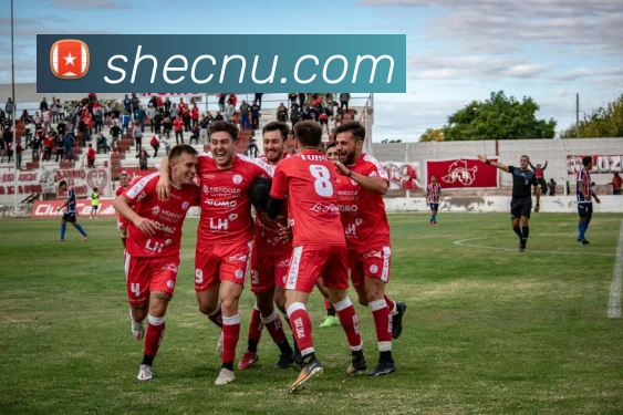 银河国际平台生态图